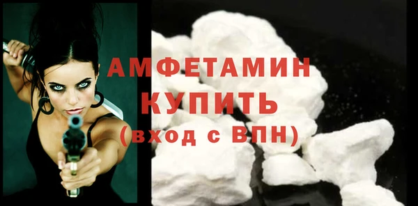 мдпв Пестово