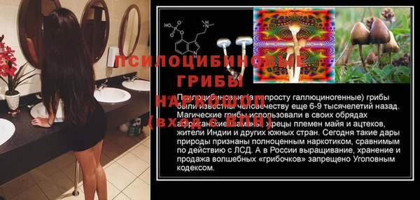 спиды Алексеевка
