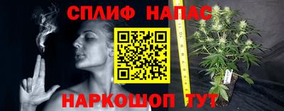спиды Жуковский